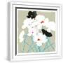 White Frame