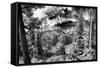 Jenny Lake Panorama-Dean Fikar-Framed Stretched Canvas