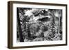 Jenny Lake Panorama-Dean Fikar-Framed Photographic Print