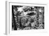 Jenny Lake Panorama-Dean Fikar-Framed Photographic Print