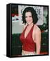 Jenny Mccarthy-null-Framed Stretched Canvas