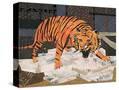 Stretched Canvas