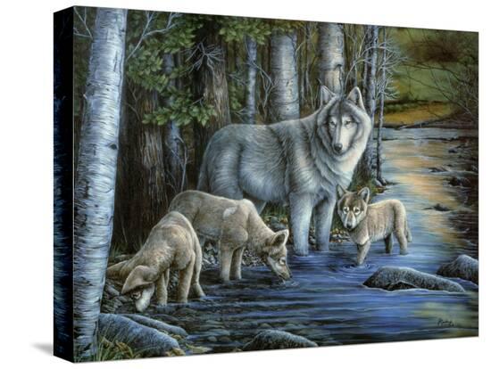 Stretched Canvas Print, , large