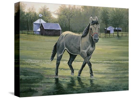 Stretched Canvas Print, , large