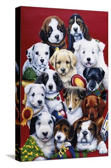 Stretched Canvas Print, , large