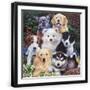 Black Frame