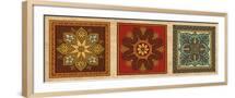 Brown Frame