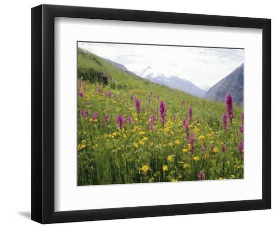 Premium Photographic Print, , large