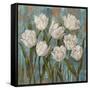 Jenny^s Garden II-Brian Francis-Framed Stretched Canvas