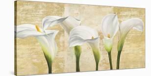 Tulips in Mason Jars-Jenny Thomlinson-Stretched Canvas