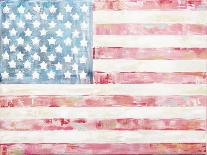 4th of July-Jenny Westenhofer-Art Print