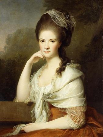 Portrait of a Lady, Seated Half-Length, Wearing a Brown Dress and a White Shawl, 1778