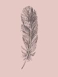 Blush Pink Feather-Jensen Adamsen-Art Print