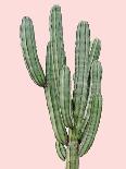 Cactus Plant I-Jensen Adamsen-Art Print