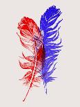 Red and Blue Feathers-Jensen Adamsen-Art Print