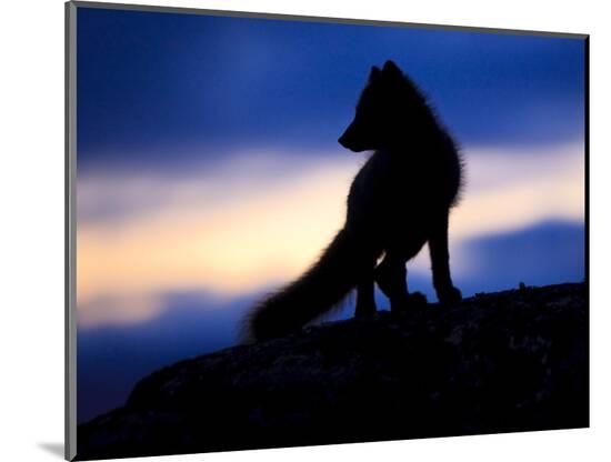 Photographic Print, , large