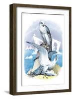 Jer-Falcon-Theodore Jasper-Framed Art Print