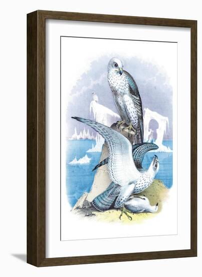 Jer-Falcon-Theodore Jasper-Framed Art Print