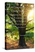 Jeremiah 29:11 - Inspirational-Lantern Press-Stretched Canvas