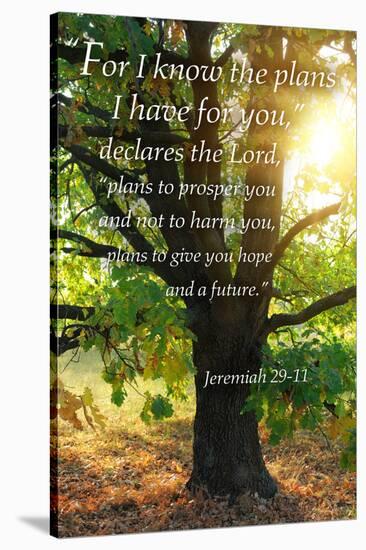 Jeremiah 29:11 - Inspirational-Lantern Press-Stretched Canvas