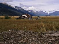 Silver Beech Forest and Rob Roy Glacier, Rob Roy Valley, Mount Aspiring National Park, South Island-Jeremy Bright-Photographic Print