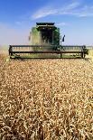 Combine Harvester Off-loading Grain-Jeremy Walker-Photographic Print