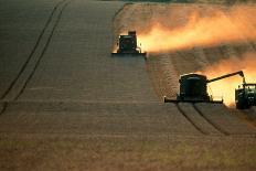 Combine Harvesters And Tractor Working In a Field-Jeremy Walker-Photographic Print