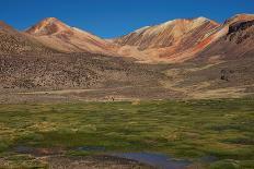 Wetland in the Atacama-JeremyRichards-Framed Stretched Canvas