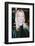 Jeri Ryan-null-Framed Photo