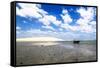 Jericoacoara Beach, Ceara, Brazil-Fran?oise Gaujour-Framed Stretched Canvas