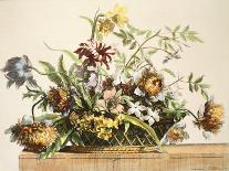 Basket Of Flowers II-Jerome Baptiste-Premium Giclee Print