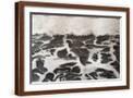 Brown Frame
