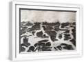 White Frame