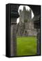 Jerpoint Abbey, County Kilkenny, Leinster, Republic of Ireland (Eire), Europe-Nico Tondini-Framed Stretched Canvas