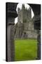 Jerpoint Abbey, County Kilkenny, Leinster, Republic of Ireland (Eire), Europe-Nico Tondini-Stretched Canvas