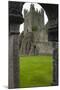 Jerpoint Abbey, County Kilkenny, Leinster, Republic of Ireland (Eire), Europe-Nico Tondini-Mounted Photographic Print