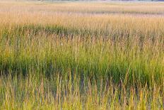 A Canoe on the Shore of Bald Mountain Pond. Bald Mountain Township, Maine-Jerry and Marcy Monkman-Photographic Print