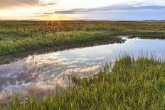 Grass , Cape Cod National Seashore, Massachusetts-Jerry and Marcy Monkman-Photographic Print