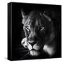 Canvas Black