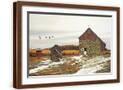 Brown Frame