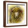 Brown Frame