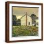 Brown Frame