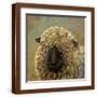 Brown Frame