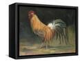 Canvas Black