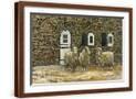 Brown Frame