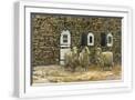 White Frame