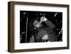 Jerry Fisher, Odeon Hammersmith, 1971-Brian O'Connor-Framed Photographic Print