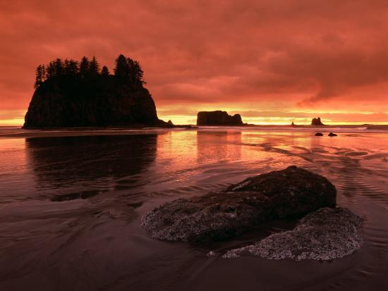 Photographic Print, , large