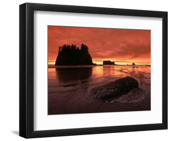 Premium Photographic Print, , large