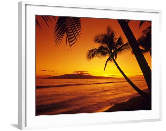 Framed Photographic Print, , large